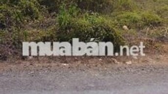 Bán đất tại Nguyễn Thị Minh Khai, 1,2 tỷ, 1150 m2, Bình Phước