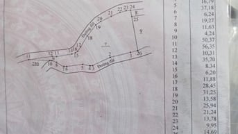 Đất Trồng Cây Lâu Năm. Đất Nông Nghiệp