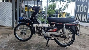 Honda Dream Thái zin theo xe ,về đổ xăng dùng luôn
