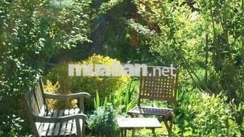🍃 CHỈ 520TR CÓ Ngày 1000m2 vườn TẬN HƯỞNG Không Gian Yên Bình Gần Sông