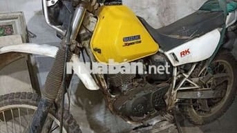 Xe cào cào Suzuki Djebel 125cc Vàng