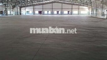 Cho Thuê Mặt Bằng Kinh Doanh Kho 2000m2