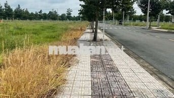 Bán gấp lô đất 150m2 - ngay cạnh TTHC Bàu Bàng - chỉ 635tr