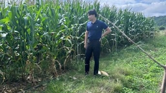 THÔNG BÁO ĐẤU GIÁ TÀI SẢN THEO THỦ TỤC RÚT GỌN