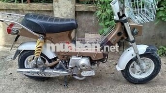 Honda Chaly 50 Nâu