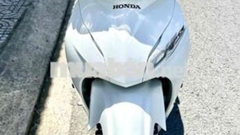 Honda Wave Alpha 110 Trắng
