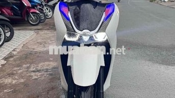 Honda SH 2023 Trắng