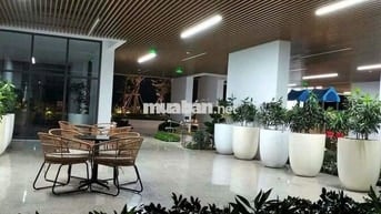 Bán căn hộ Studio 40m2 Full nội thất giá 1ty455 - Opal Skyline