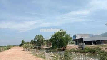 HƠN 1HA ĐẤT VƯỜN CÓ NHÀ SẴN TẠI TÀ BO – PHAN RÍ, GIÁ CHỈ 3,2 TỶ
