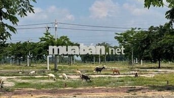 Đất đẹp gia đình kẹt tiền cần bán rẻ 3 tỷ 850.