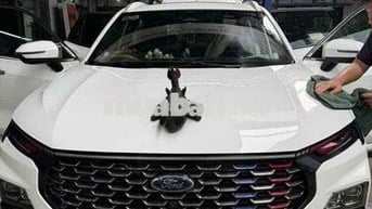 Ford Territory X 2024 Trắng 40000 km