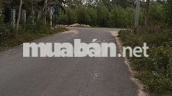 🔥 HÀNG NÓNG MỚI RA LÒ – 5x31, 100m² THỔ CƯ, ĐƯỜNG NHỰA ĐẸP, CHỈ 1,6 TỶ
