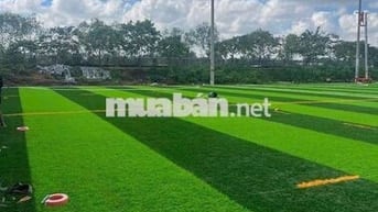 Cho Thuê 6 Sân Bóng Linh Đông Thủ Đức 