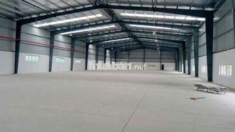 🏭 CHO THUÊ KHO XƯỞNG TẠI BÌNH TÂN – DIỆN TÍCH 1.000m²