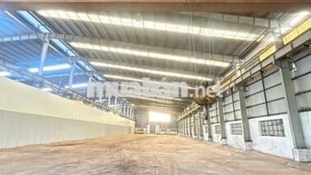🏭 CHO THUÊ KHO XƯỞNG TẠI Khu công nghiệp Tân Tạo – Bình Tân 🏭