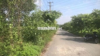 bán đất mặt tiền đường nhựa xã thiện tân