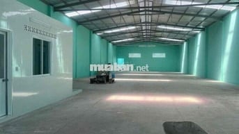 𝗫𝗨̛𝗢̛̉𝗡𝗚 𝗕𝗜̀𝗡𝗛  𝐓𝐀̂𝐍, 800m2, Đ.Cont