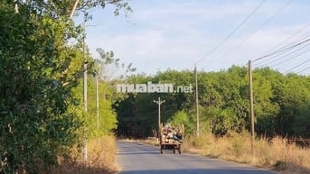 2,85ha đất tại xã Xuân Thành, huyện Xuân Lộc, Đồng Nai