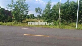 Bán đất mặt tiền đường Quảng Phú Phước An xã Đá Bạc cũ