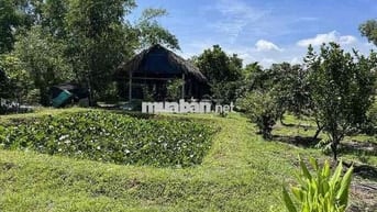 Về quê nên cần bán gấp miếng đất