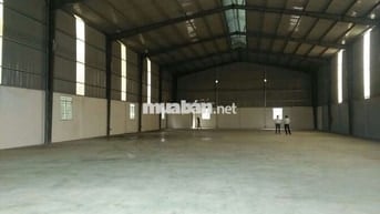 Xưởng Tân An Hội 2000m giá 50 triệu/tháng