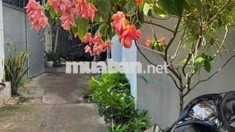 Cho thuê nhà nguyên căn hẻm 160 NVQ 2Pn 2wc giá 9,5tr