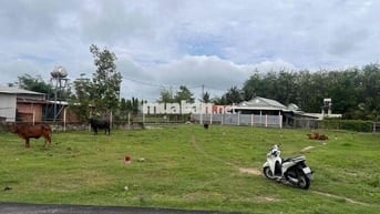 100m2 5x20 thổ cư tại khu vực Thái Mỹ , Củ Chi. Giá 1 tỷ 3 đúng giá