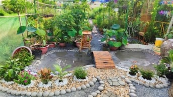 Cần bán 1000m2 sẵn 300m2 shr X.Thái Mỹ Củ Chi giá 3ti550 thương lượng 