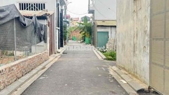 SÁT TRIỂN LÃM QUỐC GIA, VIN CỔ LOA,CẦU TỨ LIÊN ,Ô TÔ VÀO