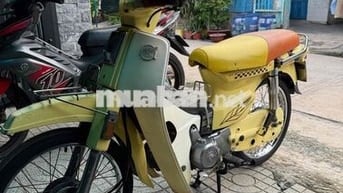 Honda Dream Citi Vàng 50C-8874