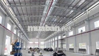 Cho Thuê Kho xưởng Tân Phú Trung Củ Chi