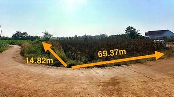 Công ty Đấu giá hợp danh Lam Sơn Sài Gòn thông báo đấu giá tài sản