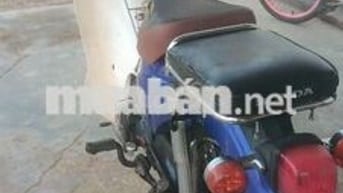 Honda Cub 2019 Xanh Trắng