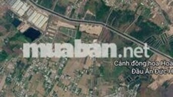 Đất khu rừng sến, Lục Viên, Mỹ Hạnh Bắc, Long An