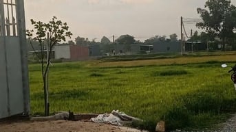 THANH LÝ GẤP ĐẤT ĐẸP THÍCH HỢP LÀM NHÀ VƯỜN , XƯỞNG, NHÀ NGUYỄN CĂN.. 