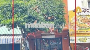 Mặt Tiền Hậu Giang Vỉa Hè Thoáng - Gần Nhà Sách Cây Gõ.