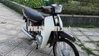 Honda Dream Nâu, Trắng