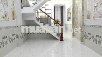 CHO THUÊ NHÀ TÂN THỚI HIỆP 21 giá tốt