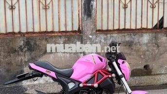 Ducati mini