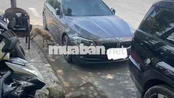 BMW 520i 2012 Xám
