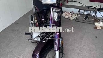 Honda Super Dream 204 Tím Việt Nam