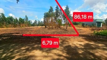 Công ty Đấu giá hợp danh Lam Sơn Sài Gòn thông báo đấu giá tài sản