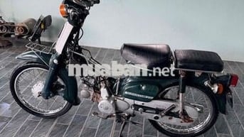 Honda Cub 81/50 có đề zin hàng cũng hiếm 🥰