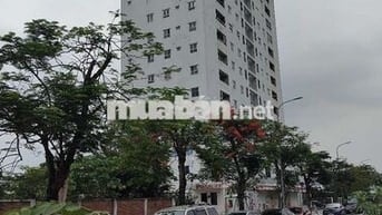 cho nữ thuê phòng bên trong 1căn chung cư