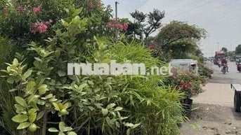 CHÍNH CHỦ- ĐẤT 140m2 MẶT ĐƯỜNG BIÊN GIANG