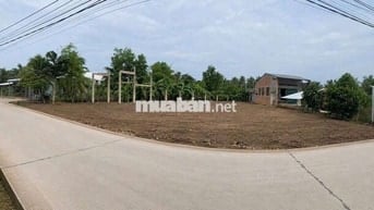 CHO THUÊ ĐẤT MẶT TIỀN LỚN GẦN KHU CÔNG NGHIỆP