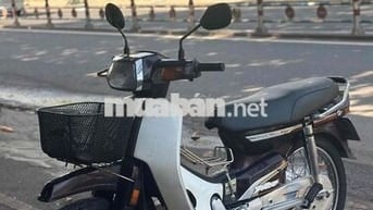 Honda Super Dream 2010 Nâu Trắng