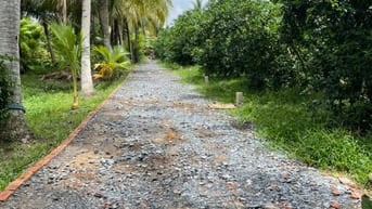 Bán Đất Long Hưng, Đồng Tháp. 4,55m x 27,10m=1124m, đường ôtô, 330Tr