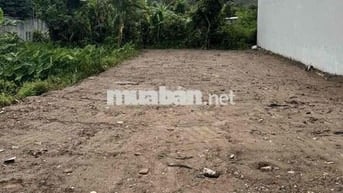 Đất đẹp mặt đường 303 xã An Trường