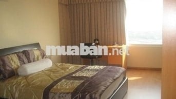 Chủ cần bán gấp căn chung cư 312 Lạc Long Quân, Q11, 2pn, 3.3 tỷ.